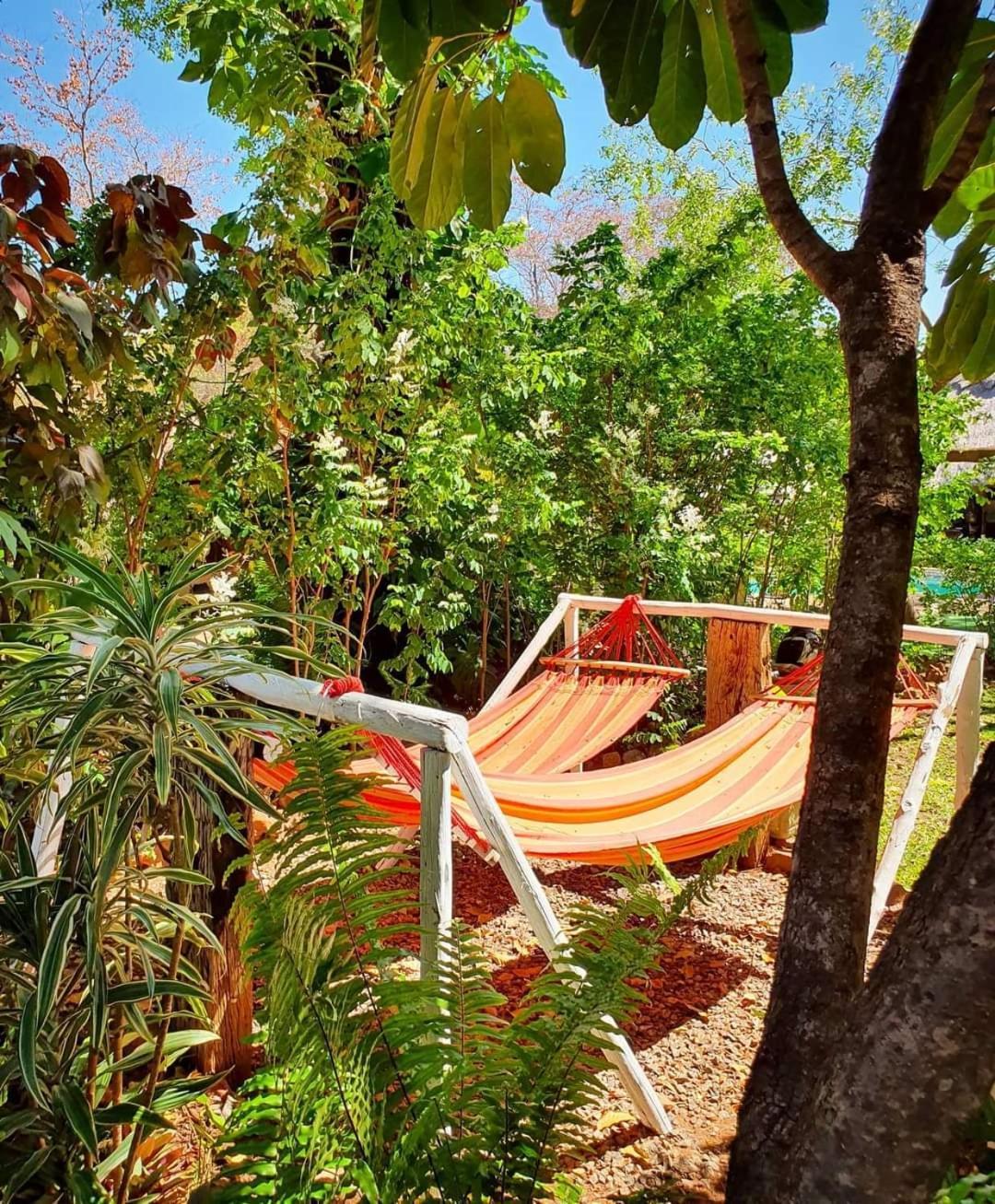 Victoria Falls Backpackers Lodge- Camp Sites 外观 照片